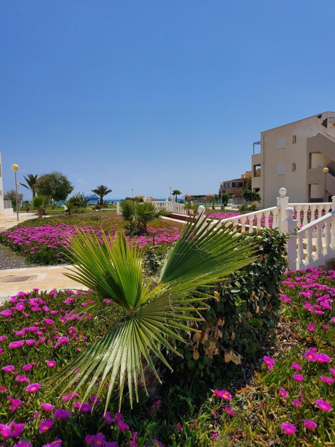 Casa Baja Naturista Con Patio En Primera Linea De Playa Con Piscina Comunitaria! Вера Экстерьер фото