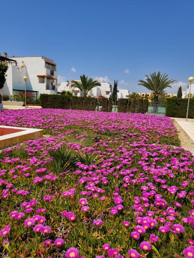 Casa Baja Naturista Con Patio En Primera Linea De Playa Con Piscina Comunitaria! Вера Экстерьер фото